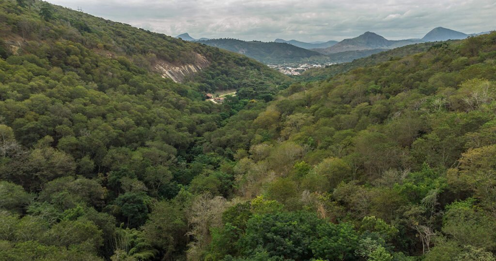 Foto: Cassio Vasconcellos