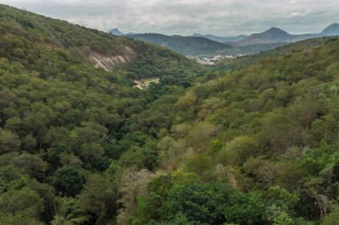 Foto: Cassio Vasconcellos