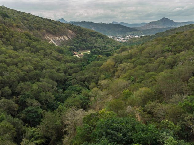 Foto: Cassio Vasconcellos