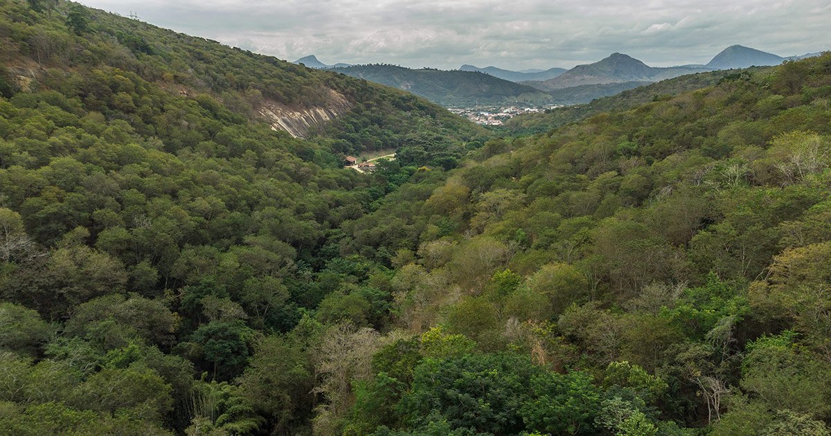 Foto: Cassio Vasconcellos